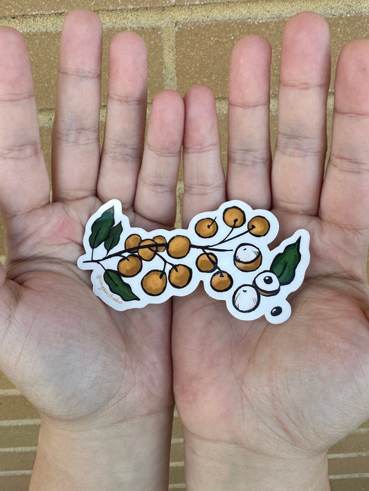 Longaan stem transparent sticker